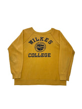 Load image into Gallery viewer, 1960s Sun Fade Sweater
