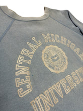 Load image into Gallery viewer, 1970s Champion Sweat

